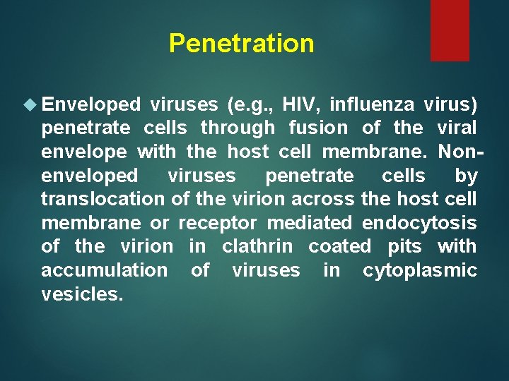 Penetration Enveloped viruses (e. g. , HIV, influenza virus) penetrate cells through fusion of