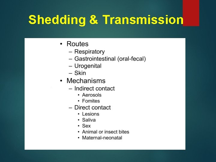 Shedding & Transmission 