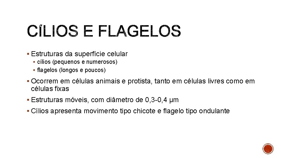 § Estruturas da superfície celular § cílios (pequenos e numerosos) § flagelos (longos e