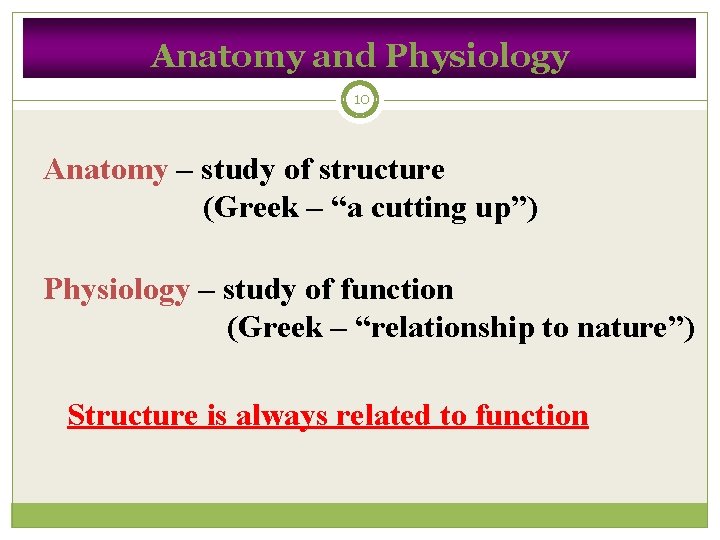 Anatomy and Physiology 10 Anatomy – study of structure (Greek – “a cutting up”)