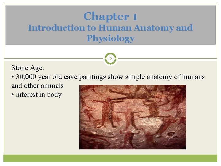 Chapter 1 Introduction to Human Anatomy and Physiology 2 Stone Age: • 30, 000