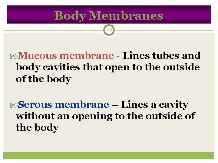 Body Membranes 22 Mucous membrane - Lines tubes and body cavities that open to