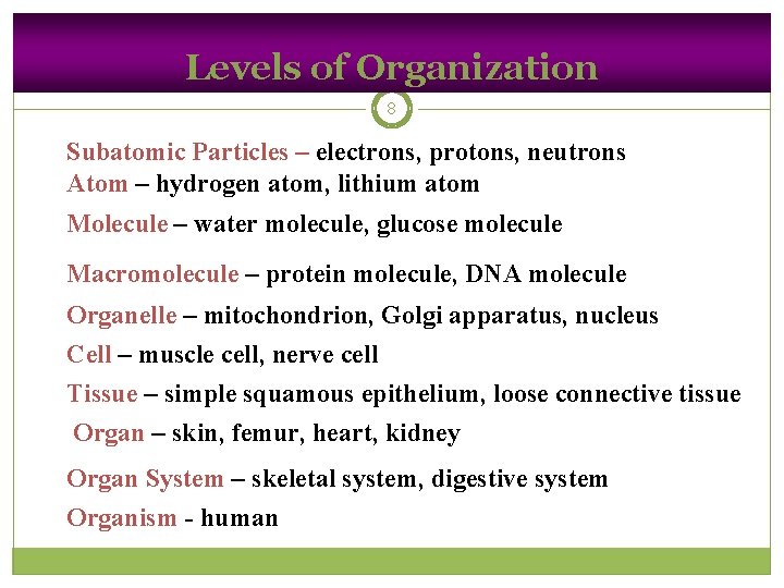 Levels of Organization 8 Subatomic Particles – electrons, protons, neutrons Atom – hydrogen atom,