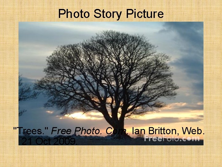 Photo Story Picture "Trees. " Free Photo. Com. Ian Britton, Web. 21 Oct 2009.