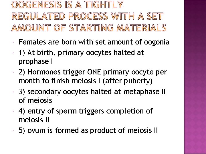  Females are born with set amount of oogonia 1) At birth, primary oocytes