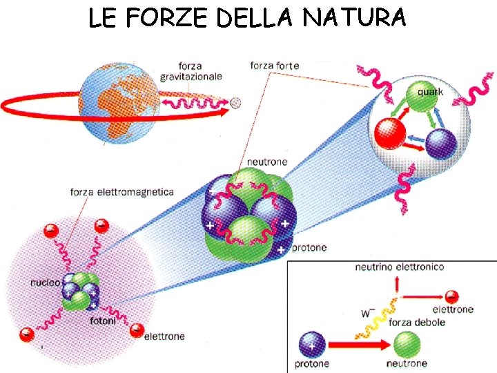 LE FORZE DELLA NATURA 