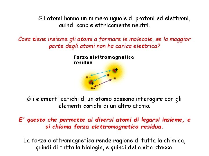 Gli atomi hanno un numero uguale di protoni ed elettroni, quindi sono elettricamente neutri.