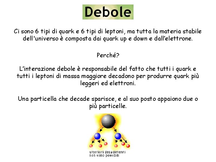 Ci sono 6 tipi di quark e 6 tipi di leptoni, ma tutta la