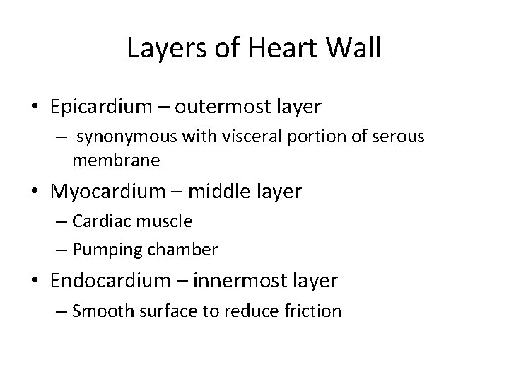 Layers of Heart Wall • Epicardium – outermost layer – synonymous with visceral portion