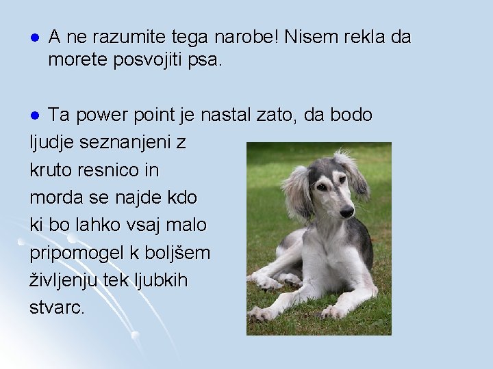 l A ne razumite tega narobe! Nisem rekla da morete posvojiti psa. Ta power