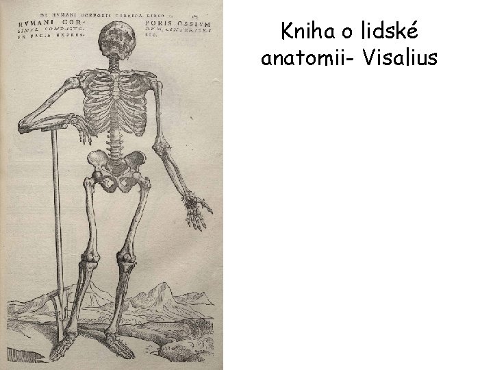 Kniha o lidské anatomii- Visalius 