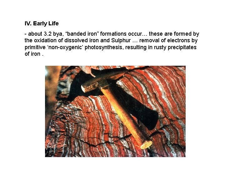 IV. Early Life - about 3. 2 bya, “banded iron” formations occur… these are