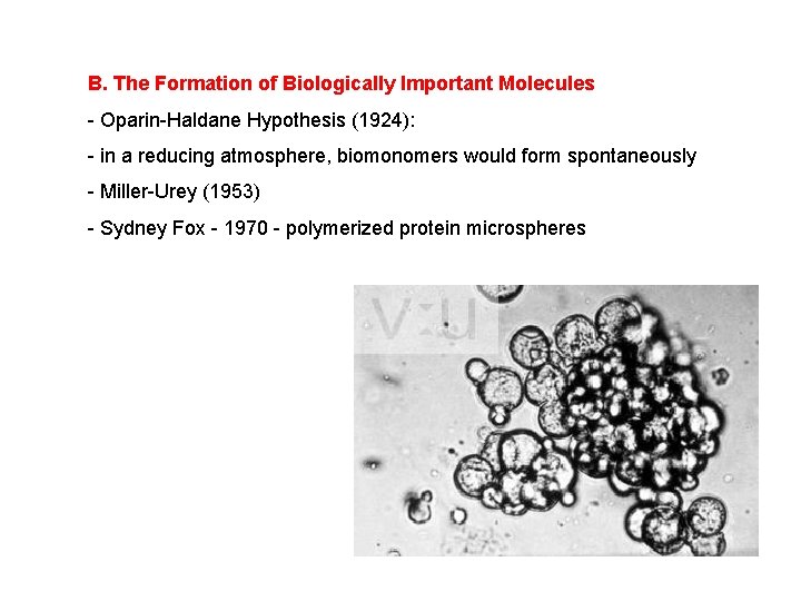 B. The Formation of Biologically Important Molecules - Oparin-Haldane Hypothesis (1924): - in a