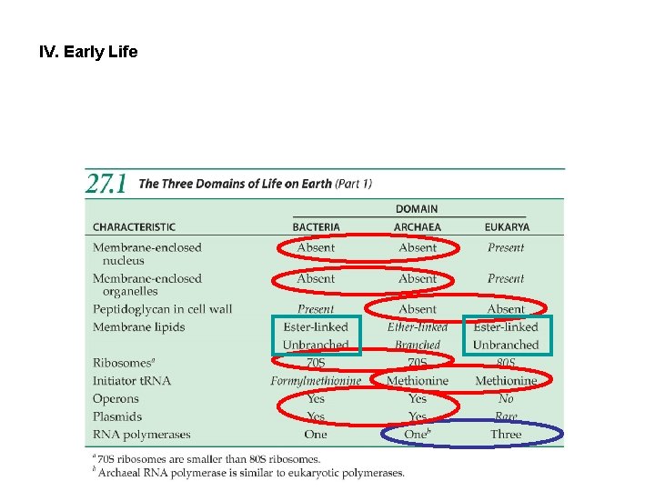 IV. Early Life 