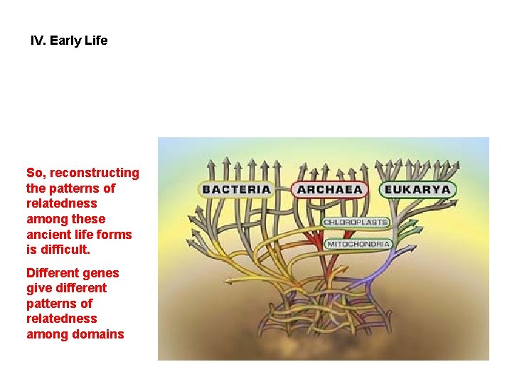 IV. Early Life So, reconstructing the patterns of relatedness among these ancient life forms