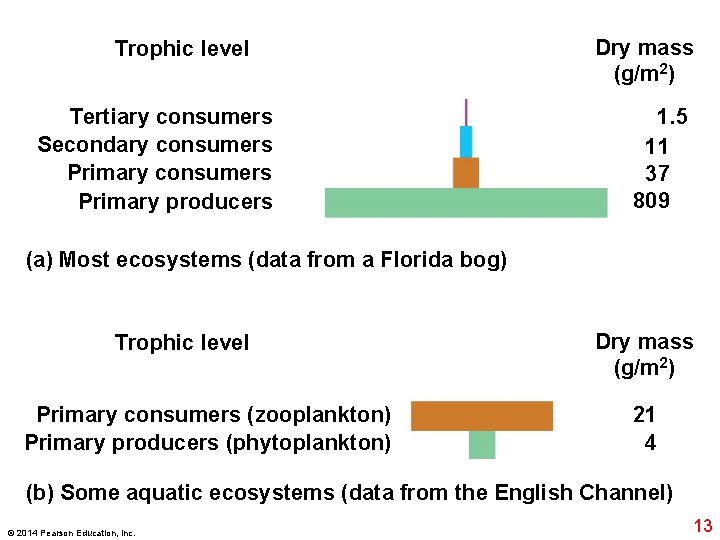 Trophic level Tertiary consumers Secondary consumers Primary producers Dry mass (g/m 2) 1. 5