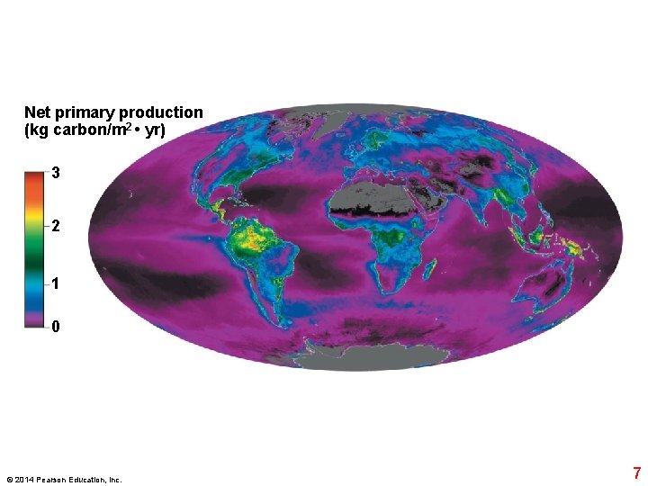 Net primary production (kg carbon/m 2 • yr) 3 2 1 0 © 2014