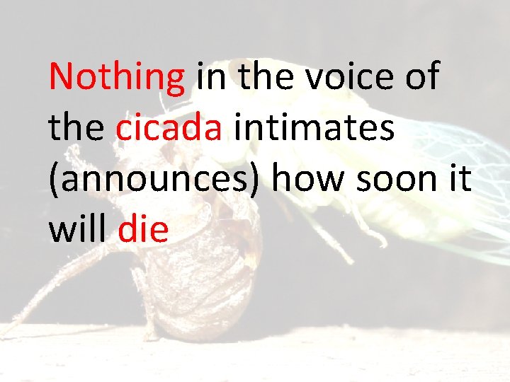 Nothing in the voice of the cicada intimates (announces) how soon it will die