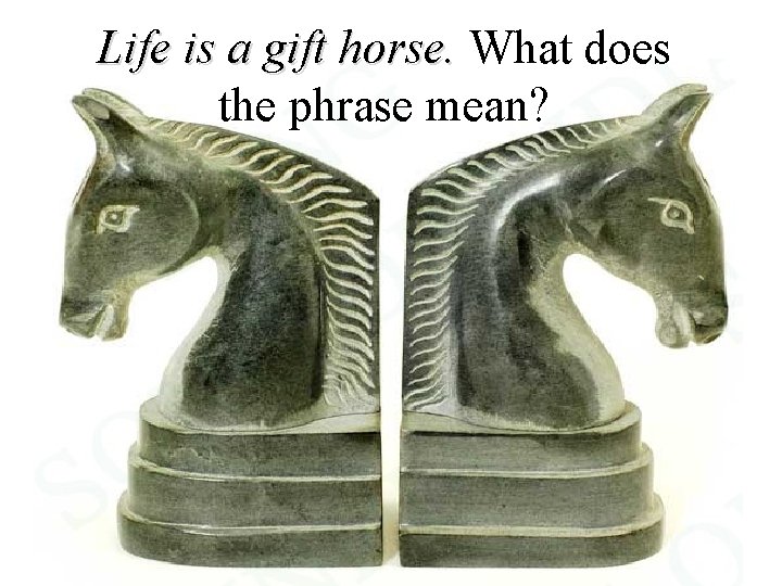 Life is a gift horse. What does the phrase mean? 