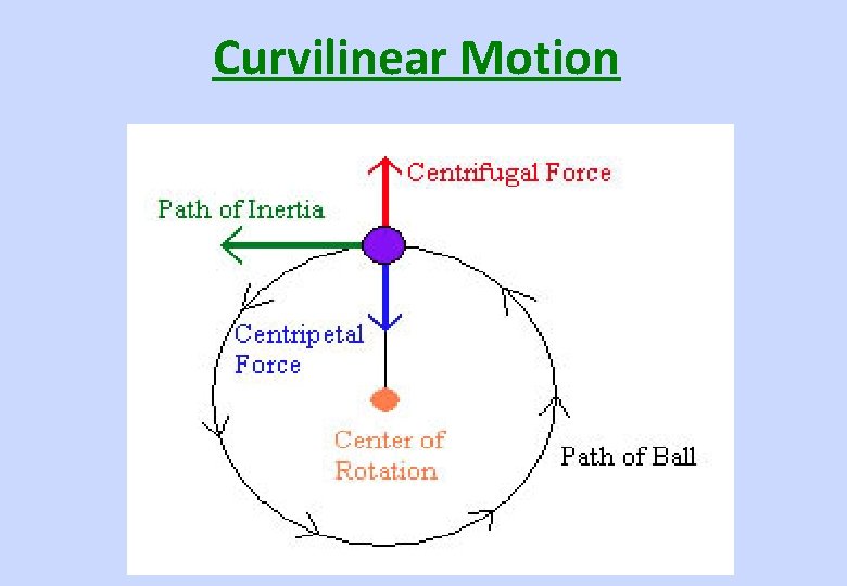 Curvilinear Motion 