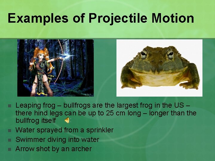 Examples of Projectile Motion n n Leaping frog – bullfrogs are the largest frog