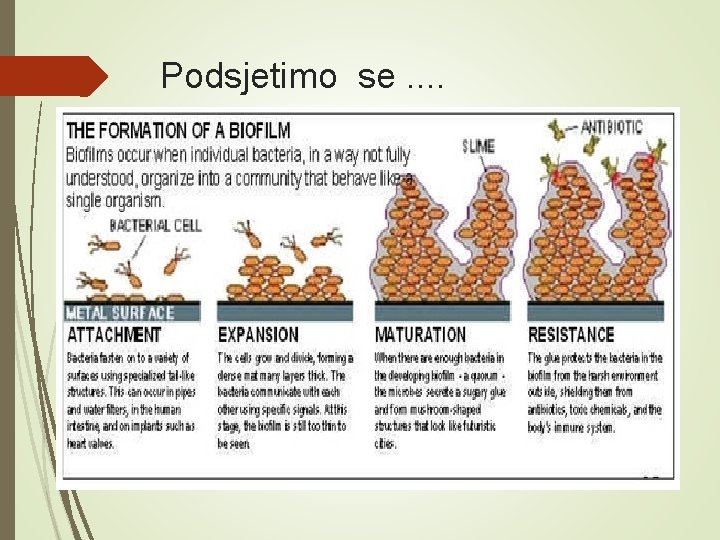 Podsjetimo se. . 