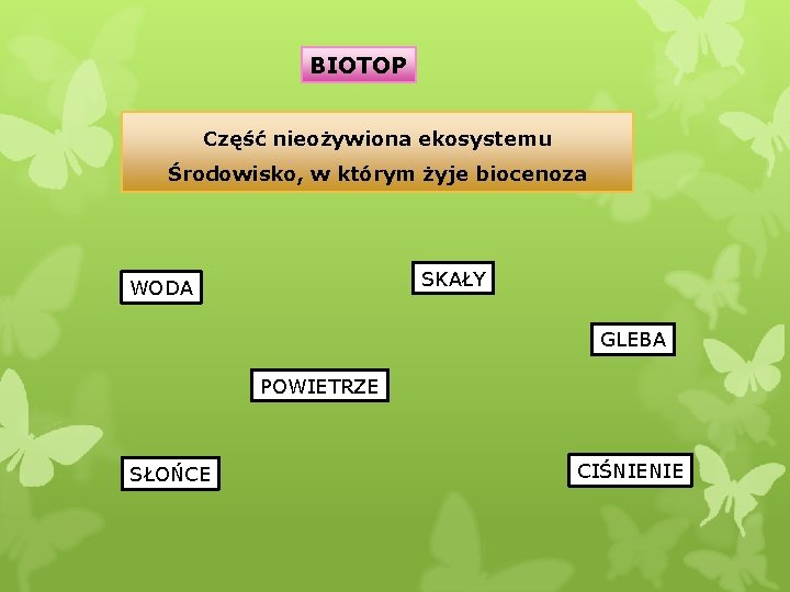 BIOTOP Część nieożywiona ekosystemu Środowisko, w którym żyje biocenoza SKAŁY WODA GLEBA POWIETRZE SŁOŃCE