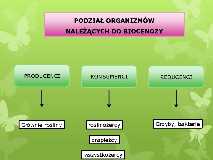 PODZIAŁ ORGANIZMÓW NALEŻĄCYCH DO BIOCENOZY PRODUCENCI Głównie rośliny KONSUMENCI roślinożercy drapieżcy wszystkożercy REDUCENCI Grzyby,