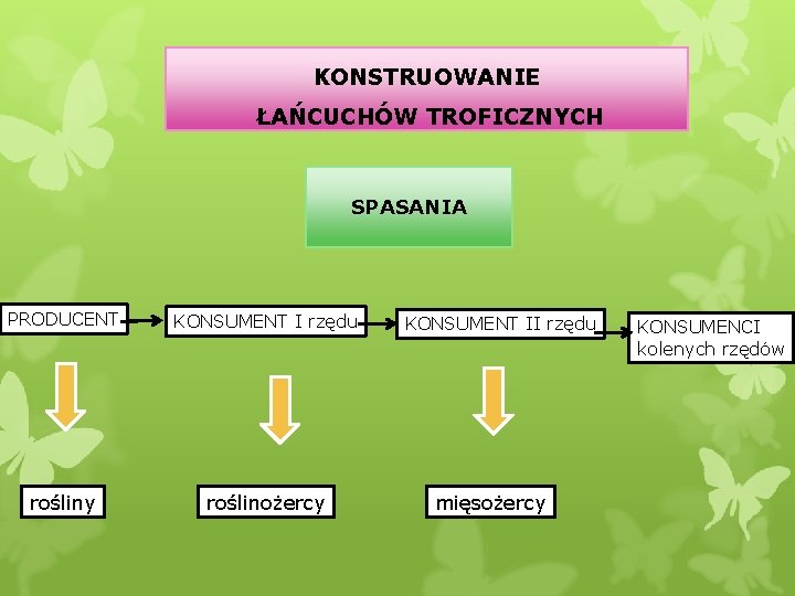 KONSTRUOWANIE ŁAŃCUCHÓW TROFICZNYCH SPASANIA PRODUCENT KONSUMENT I rzędu rośliny roślinożercy KONSUMENT II rzędu mięsożercy