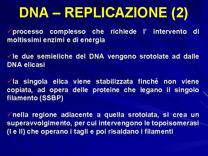 DNA – REPLICAZIONE (2) üprocesso complesso che richiede l’ intervento di moltissimi enzimi e