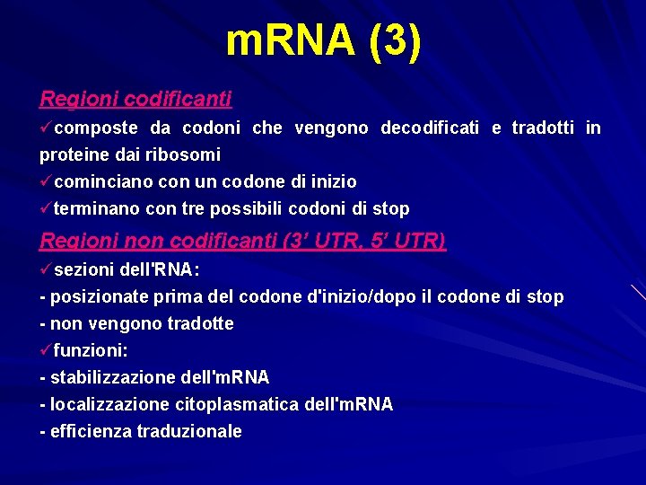 m. RNA (3) Regioni codificanti ücomposte da codoni che vengono decodificati e tradotti in
