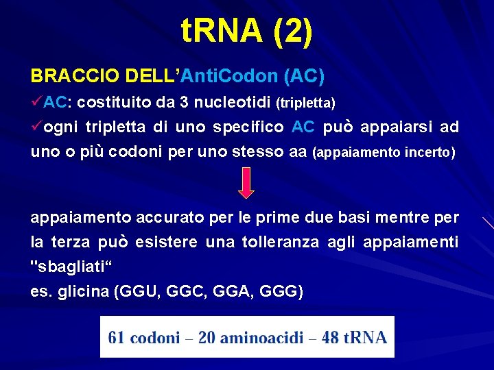 t. RNA (2) BRACCIO DELL’Anti. Codon (AC) üAC: costituito da 3 nucleotidi (tripletta) üogni