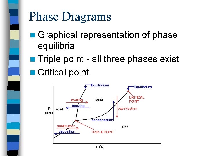Phase Diagrams n Graphical representation of phase equilibria n Triple point - all three
