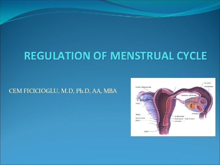 REGULATION OF MENSTRUAL CYCLE CEM FICICIOGLU, M. D, Ph. D, AA, MBA 