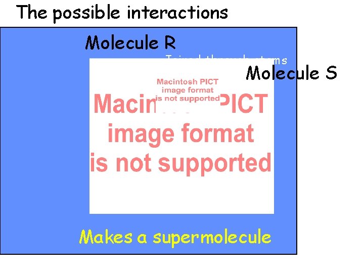 The possible interactions Molecule R Joined through atoms r and s Molecule Makes a