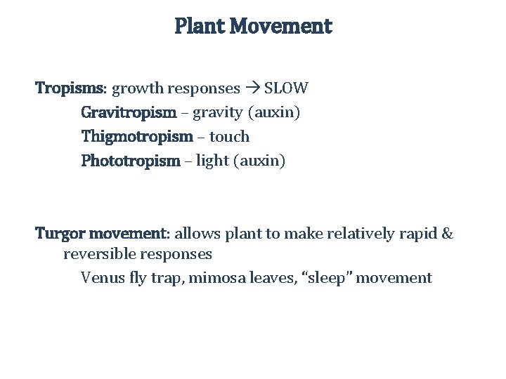 Plant Movement Tropisms: growth responses SLOW Gravitropism – gravity (auxin) Thigmotropism – touch Phototropism