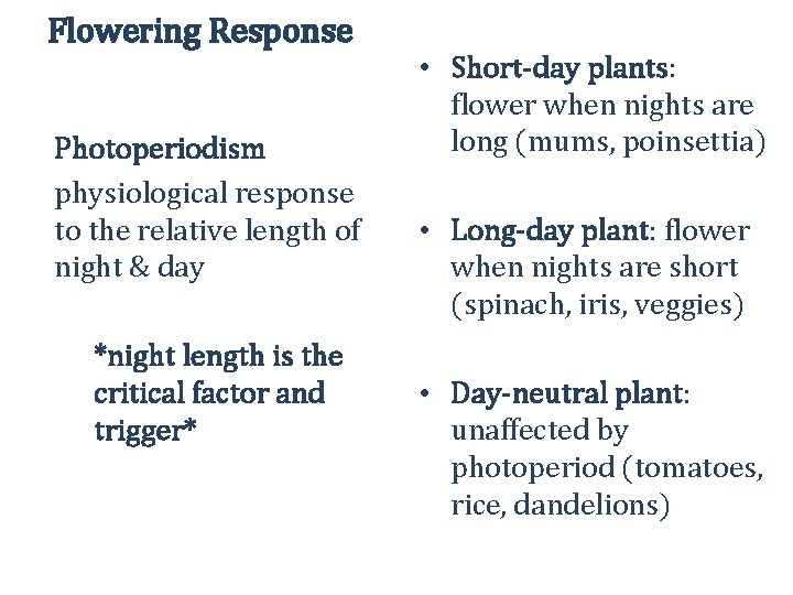Flowering Response Photoperiodism physiological response to the relative length of night & day *night