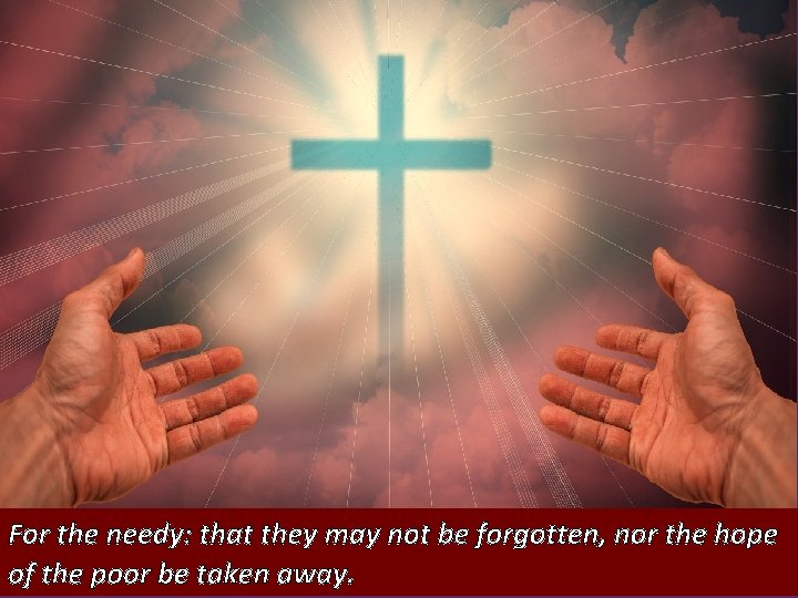 For the needy: that they may not be forgotten, nor the hope of the