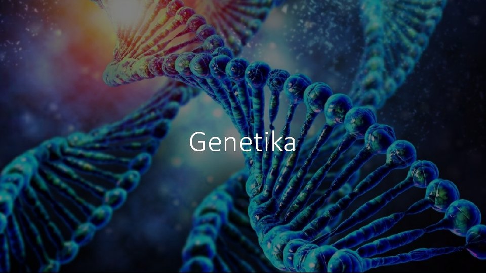 Genetika 