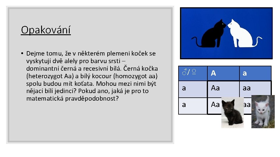 Opakování • Dejme tomu, že v některém plemeni koček se vyskytují dvě alely pro