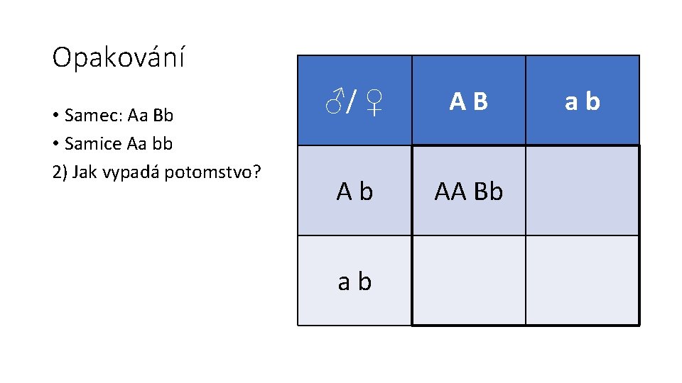 Opakování • Samec: Aa Bb • Samice Aa bb 2) Jak vypadá potomstvo? ♂/