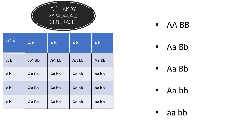 DÚ: JAK BY VYPADALA 2. GENERACE? ♂/ ♀ AB • AA BB AB Ab