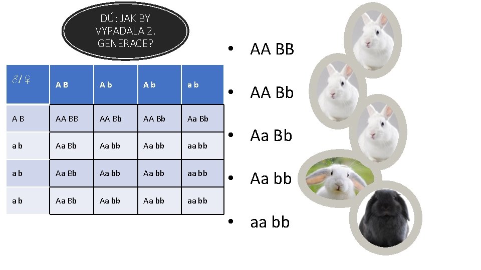 DÚ: JAK BY VYPADALA 2. GENERACE? ♂/ ♀ AB • AA BB AB Ab