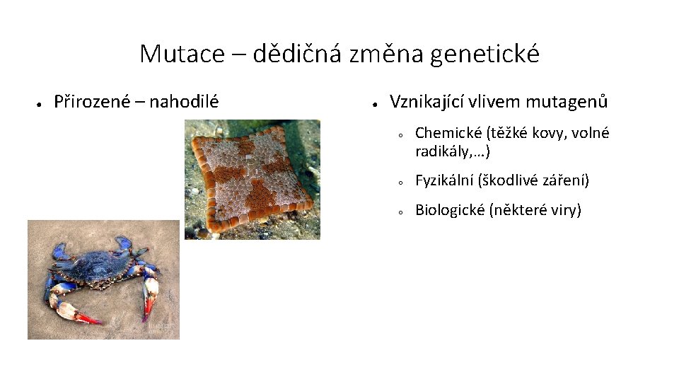 Mutace – dědičná změna genetické ● Přirozené – nahodilé ● Vznikající vlivem mutagenů ○