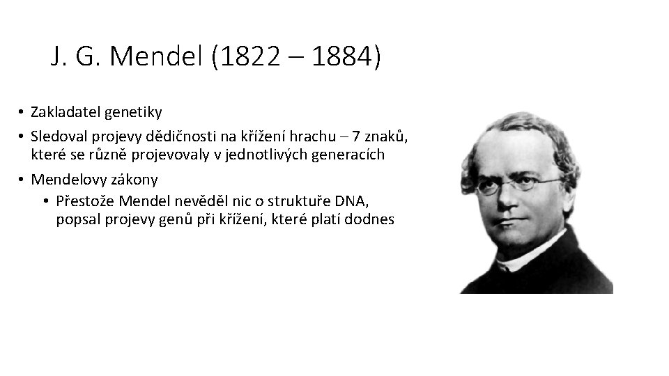J. G. Mendel (1822 – 1884) • Zakladatel genetiky • Sledoval projevy dědičnosti na