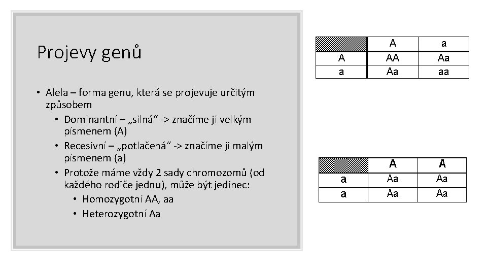 Projevy genů • Alela – forma genu, která se projevuje určitým způsobem • Dominantní