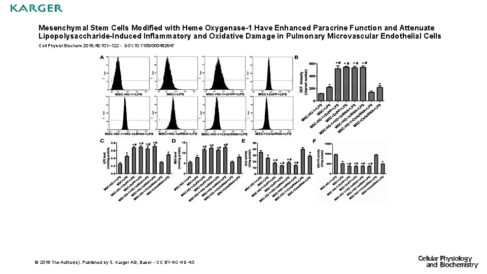 Mesenchymal Stem Cells Modified with Heme Oxygenase-1 Have Enhanced Paracrine Function and Attenuate Lipopolysaccharide-Induced