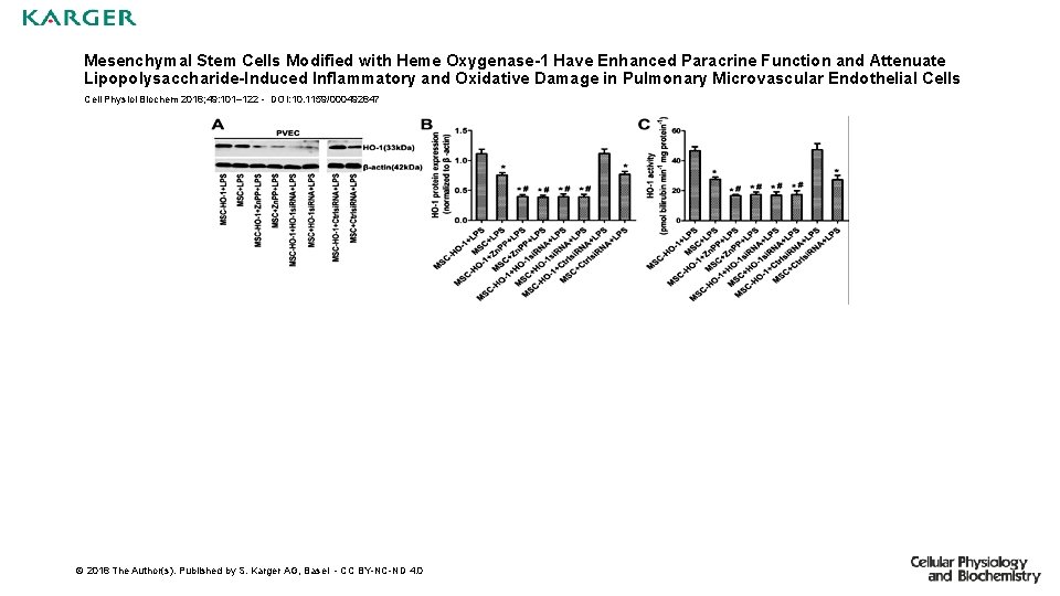 Mesenchymal Stem Cells Modified with Heme Oxygenase-1 Have Enhanced Paracrine Function and Attenuate Lipopolysaccharide-Induced