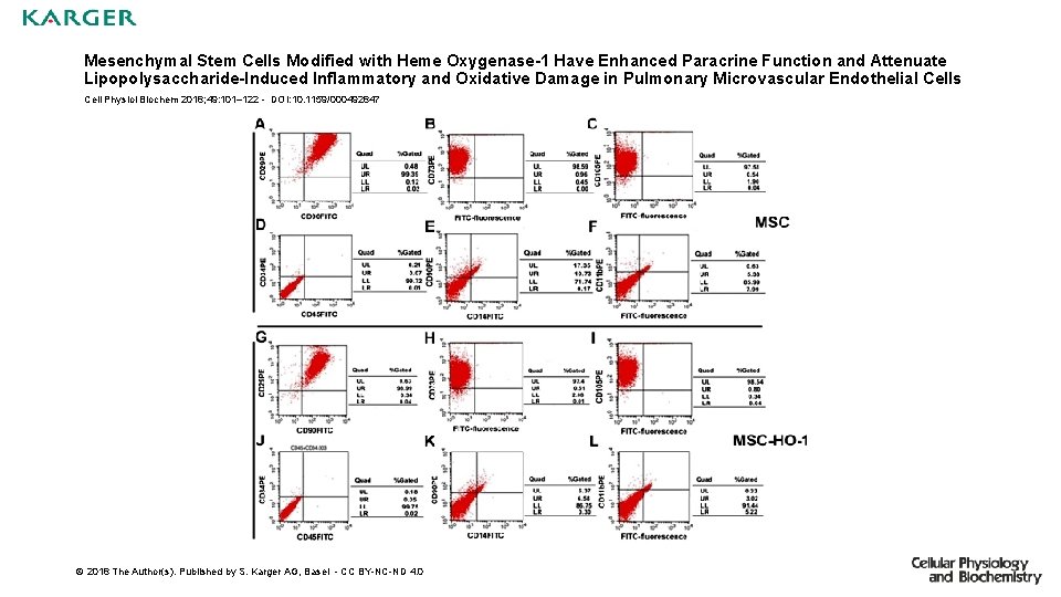 Mesenchymal Stem Cells Modified with Heme Oxygenase-1 Have Enhanced Paracrine Function and Attenuate Lipopolysaccharide-Induced