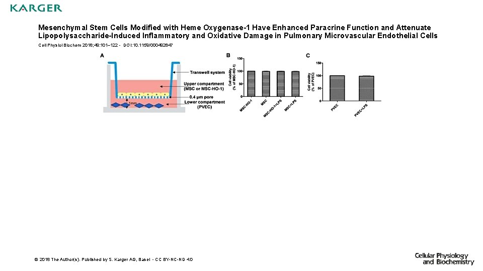 Mesenchymal Stem Cells Modified with Heme Oxygenase-1 Have Enhanced Paracrine Function and Attenuate Lipopolysaccharide-Induced